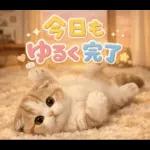 飛び出す♡やる気ないにゃんこ