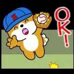 飛び出す！豆柴「野球と日常」