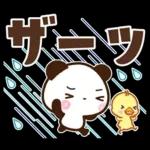 パンダ＆ひよこ 梅雨・夏