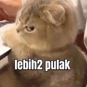 lebih2 pulak - getsticker.com