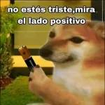 no estés triste,mira el lado positivo