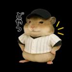 【新】リアル野球ハムスター
