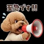 一年中使えることば集☆トイプードル