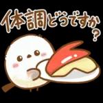 【冬】エナガさんとシマエナガさん16