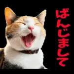 島根出雲弁☆にゃんこ