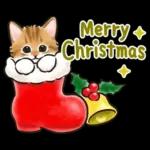 冬の毎日と年末年始☆猫たちのスタンプ２