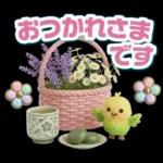 ふんわり3D女子の春・梅雨・初夏