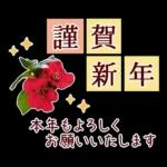 new year2023.12resale