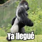 changos