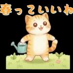 ぽかぽか春ねこライフ