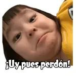 ¿Qué borraste? 