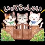 ずっと使える♪猫たちの日常