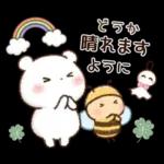 チロクマとアイビー　初夏