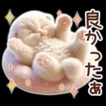冬の猫のスコティッシュ【よく使う言葉】