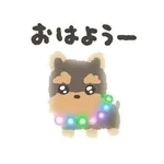 ぴかぴかわんわん