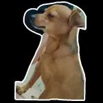 Gracias por su pago!! $