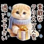 冬の猫のスコティッシュ【よく使う言葉】