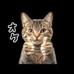 動く！猫の日常2