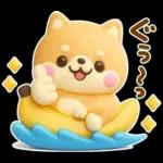 夏にかわいい♡豆柴日和