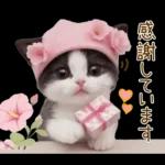 可愛いハチワレ猫 春の思いやり 敬語