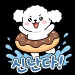 신나는 여름멍이 일상