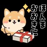 飛び出す！シバイヌの日常敬語スタンプ