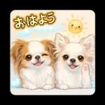 ブラン&プティ第2弾♡