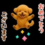 毎日使える【挨拶★返事】トイプードル