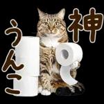 うんこ★リアルな猫
