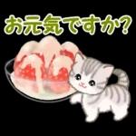 ころころ子猫と春スイーツ