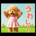 【秋冬】ずっと使える❤️日常会話 トイプー