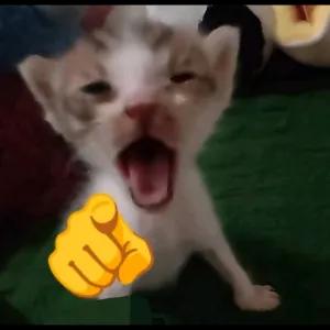 zGjIzA