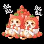 毎日使える 茶トラねこ 春 日常 いちご帽子