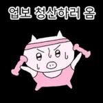 쩝쩝박사 꿀꾸리