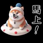 圓柴柴18:祝你有個可愛的一天❤️