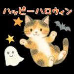 猫がいっぱい♡ふんわり可愛い秋＆冬