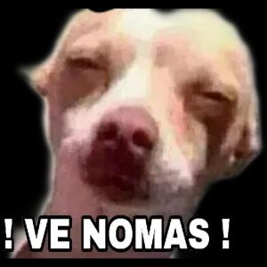 ! VE NOMÁS ! - getsticker.com
