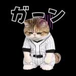 野球をする猫