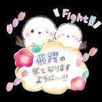 年末年始❤️ふわもちシマエナガ④❤️再販