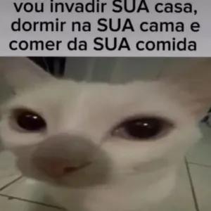 LMuYwo
