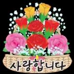오늘은 꽃 주는 날 2