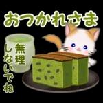 もふもふしっぽの子猫ちゃん　毎日使う言葉