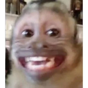 uJfRxs
