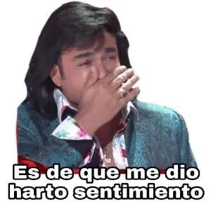 Es de que me dio harto sentimiento - getsticker.com