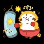 まんまるラスカル☆ヘルシーになろう