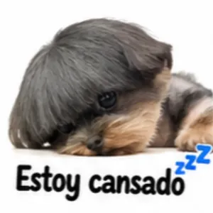 Estoy cansado ZZZ - getsticker.com