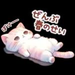 猫のつめあわせ⑤【春】