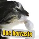 descargar el pa