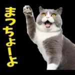 島根出雲弁☆にゃんこ