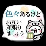 毎日しろちゃん22❤敬語・長文
